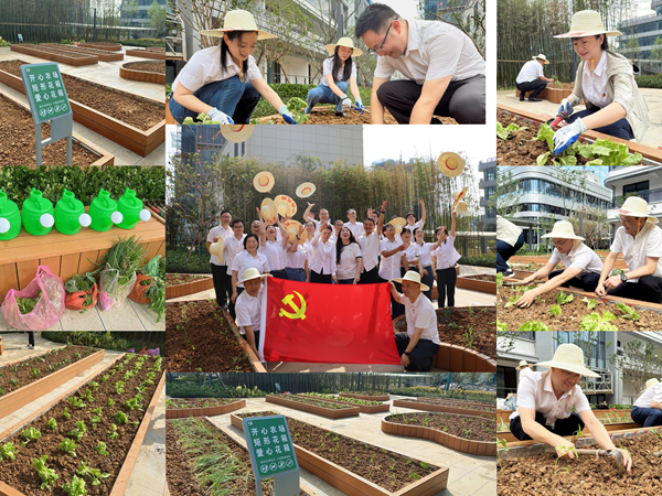 1747795755030 图片